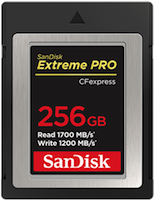 Futon Boutique SanDisk Extreme Pro CFexpress Type B de 256 Go