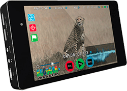 Atomos Shogun sous le sapin ? (màj)