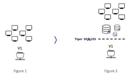 Tiger Spaces