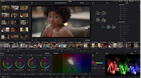 Futon Boutique DaVinci Resolve Studio Clé d'Activation (Mac/Windows/Linux)