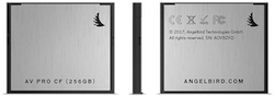 Angelbird CFast 2.0 de 256 Go - Pack de 2 cartes