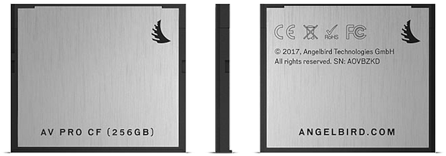 Angelbird CFast 2.0 de 256 Go - Pack de 2 cartes