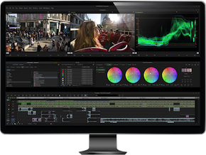 Avid Media Composer Perpetual 1-Year Software Updates + Support Plan RENEWAL