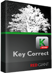 RG Key Correct