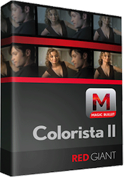 RG Magic Bullet Colorista IV