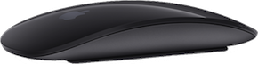 Souris Magic Mouse 2 (gris sidéral)