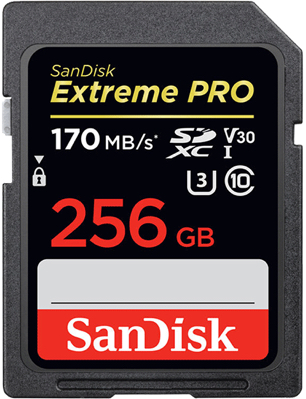 SanDisk SDXC 256 Go Extreme Pro (Class 10, U3)