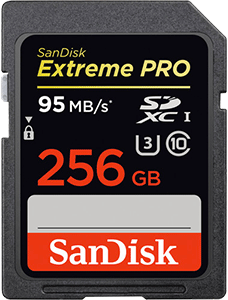 SanDisk SDXC 256 Go Extreme Pro (U3)