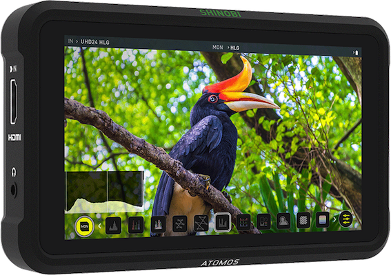 Atomos Shinobi (HDMI)