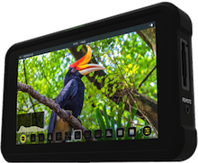 Atomos Shinobi (HDMI)