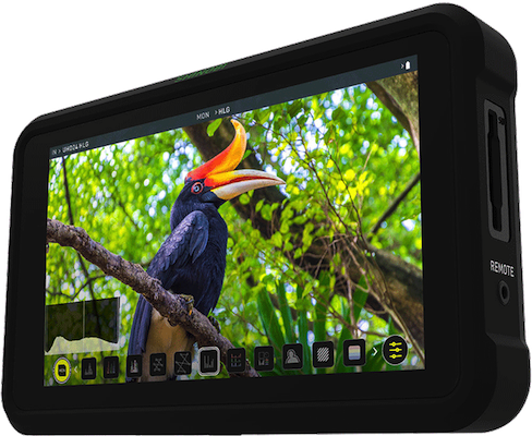 Atomos Shinobi (HDMI)