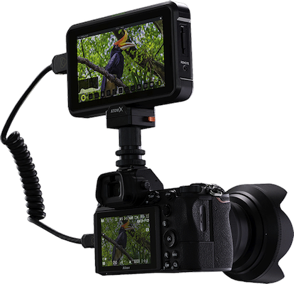 Atomos Shinobi (HDMI)