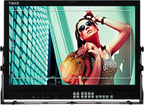 ViewZ moniteur LCD 21,5